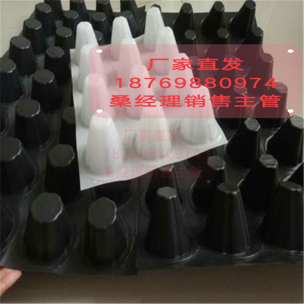山东泰安生产车库顶板凹凸排水板的厂家